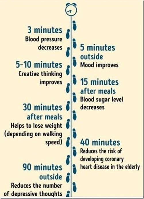 Walking benefits - graphic (3)